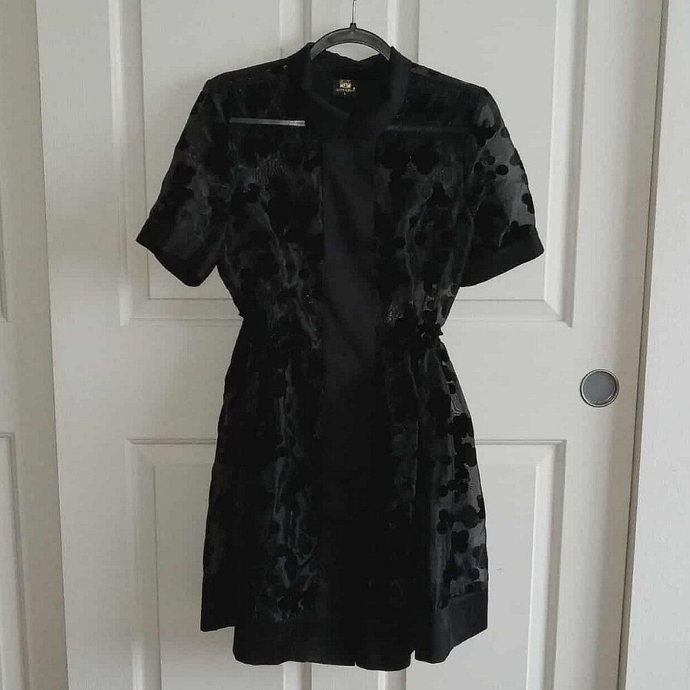 Shirt Collared Sheer Dress with Velvet Blossom Pattern - Picture 2 of 9